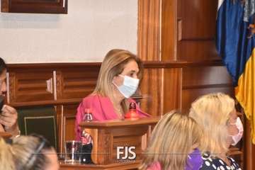 Pleno ordinario de julio de 2022/Francisco Javier Santana.